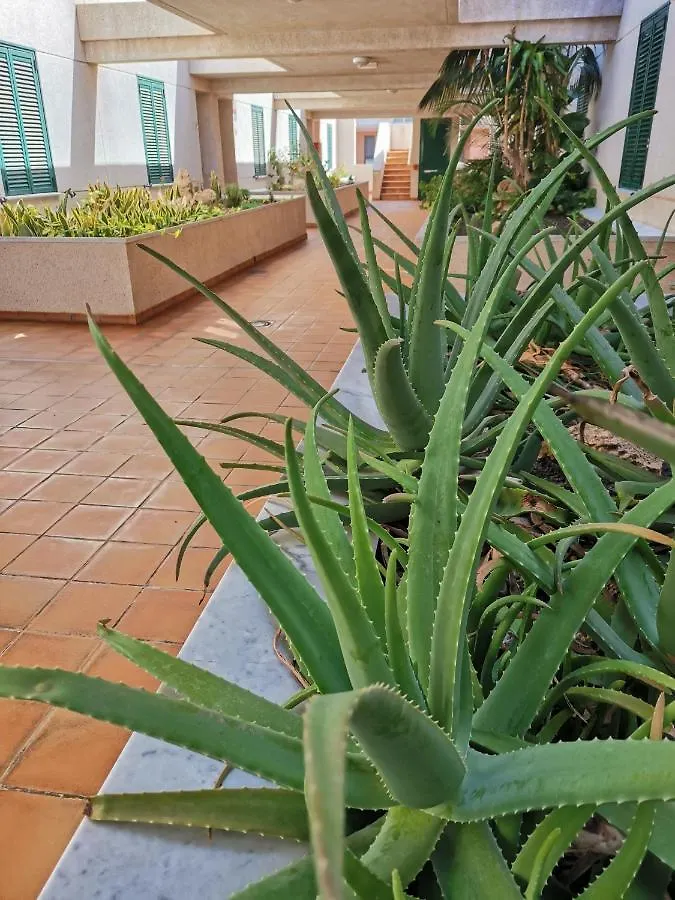 شقة Balancon Pool El Médano
